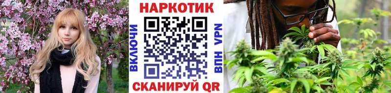 Купить наркотики цена Партизанск Бошки Шишки  ЭКСТАЗИ  ГАШ  Альфа ПВП 