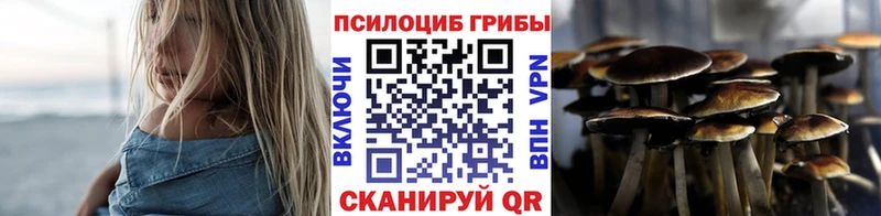 Галлюциногенные грибы Psilocybe  Партизанск 