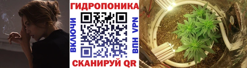 Конопля марихуана  Партизанск 
